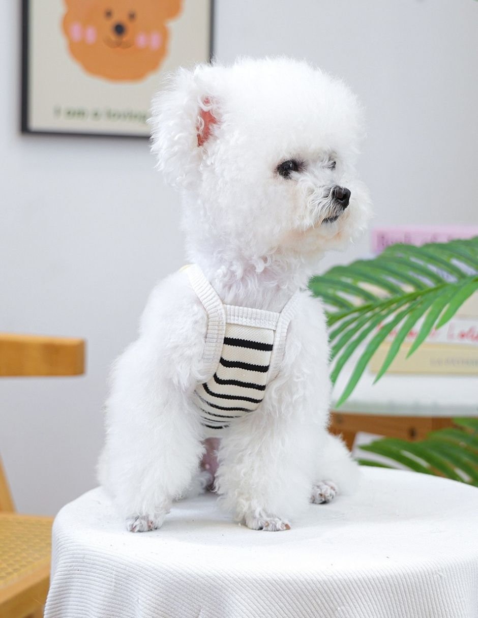 Vestido para perro 8