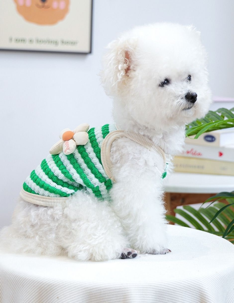 Vestido para perro Maypet