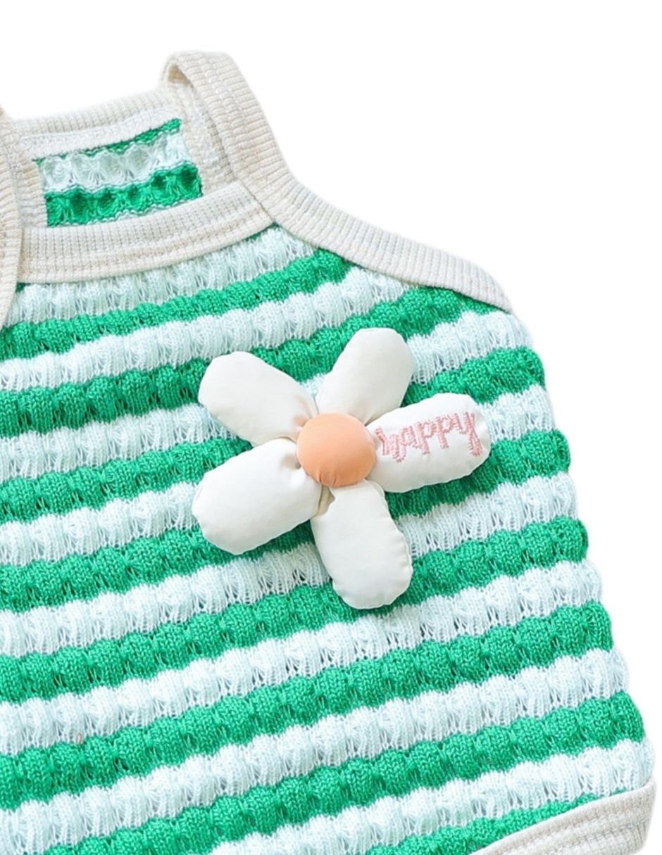 Vestido para perro 3