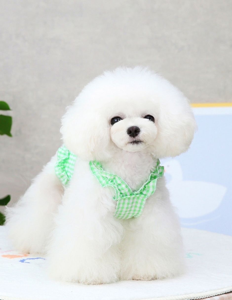 Vestido para perro Maypet