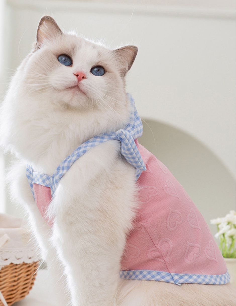 Vestido para perro 5