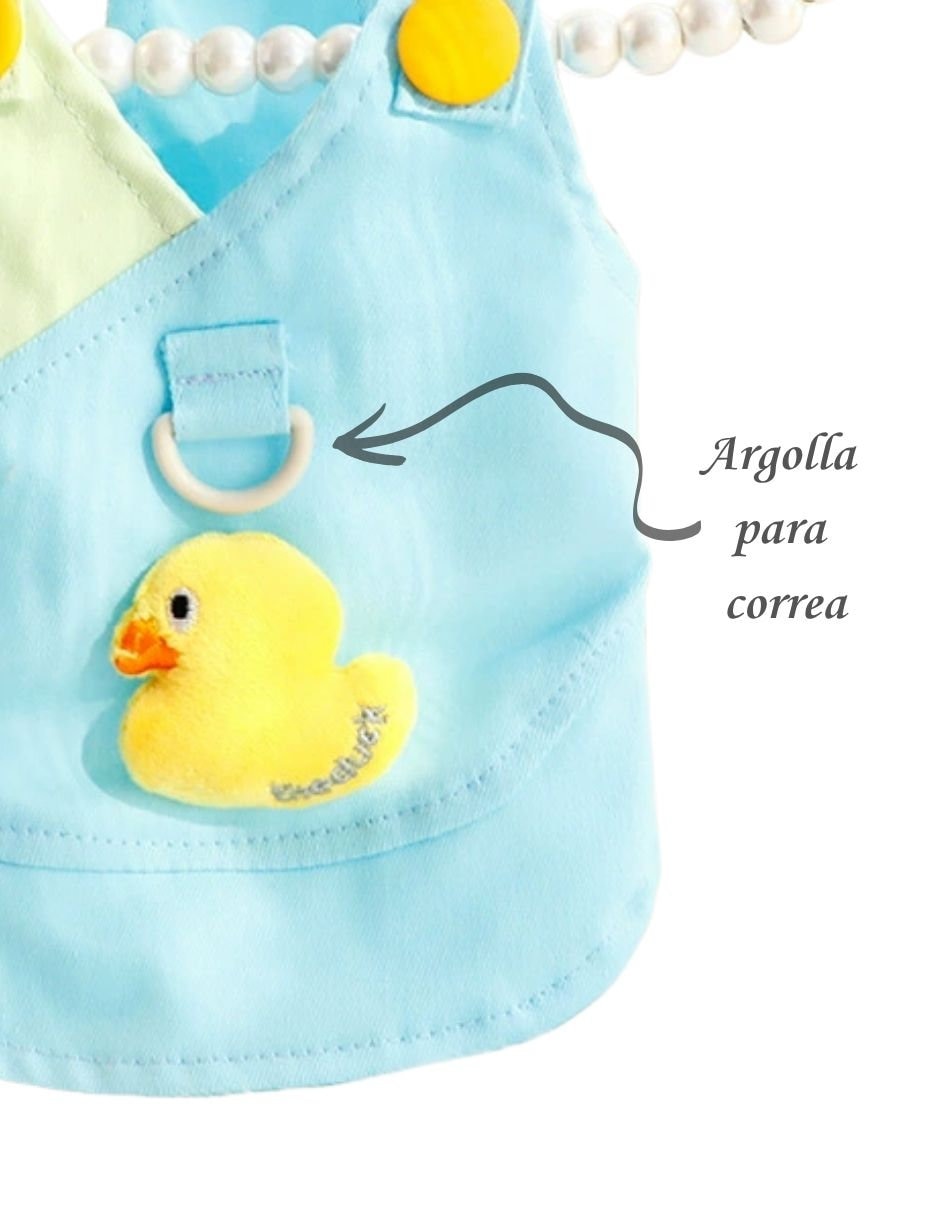 Camisa para perro 6
