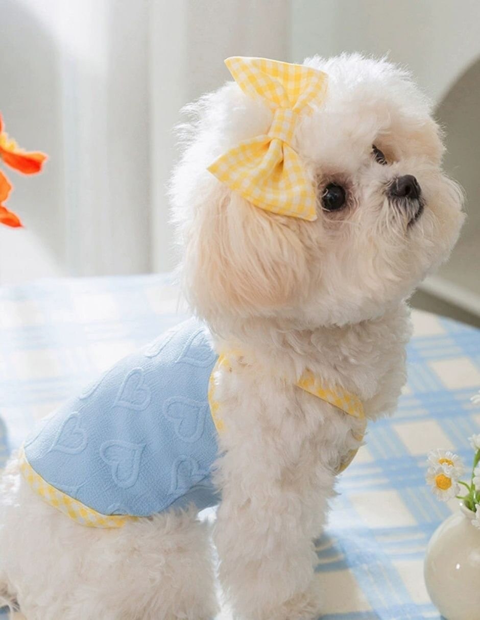Vestido para perro Maypet