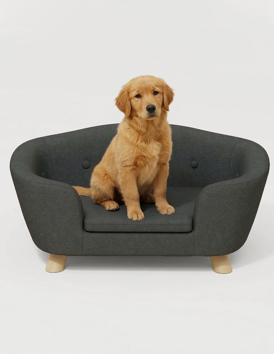 Camastro para mascota home make para perro y gato