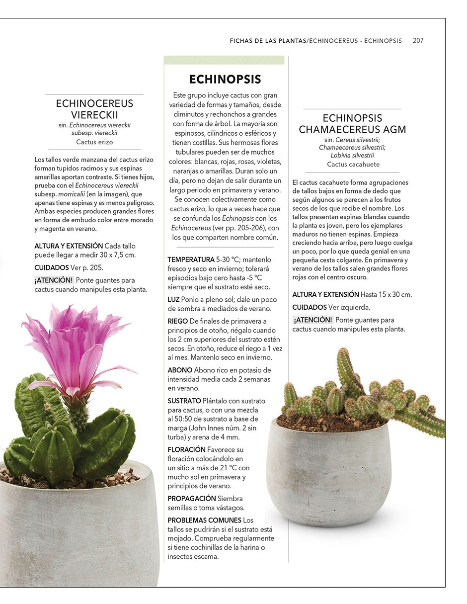 Libro Plantas de Interior Guía Completa - DK de DK 3