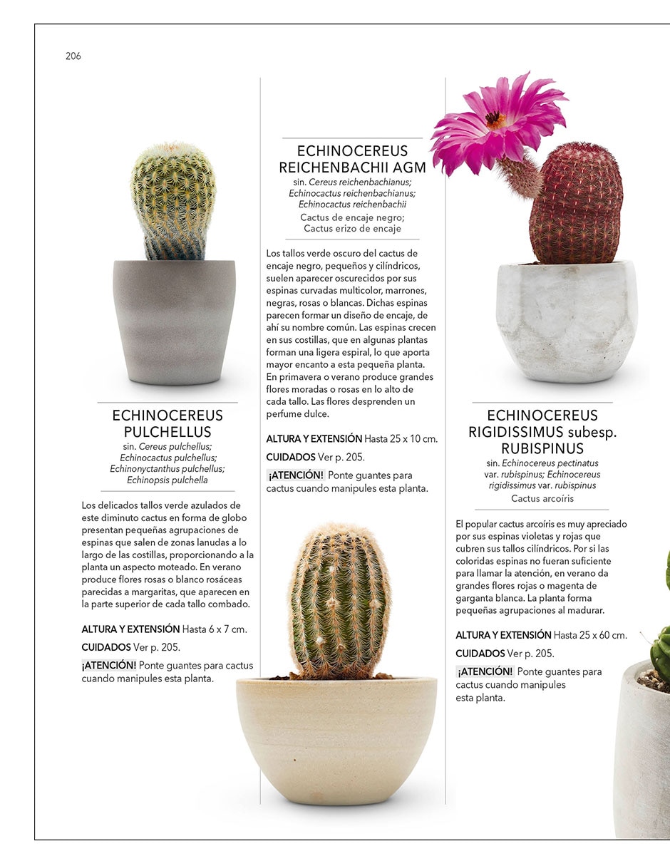 Libro Plantas de Interior Guía Completa - DK de DK 5