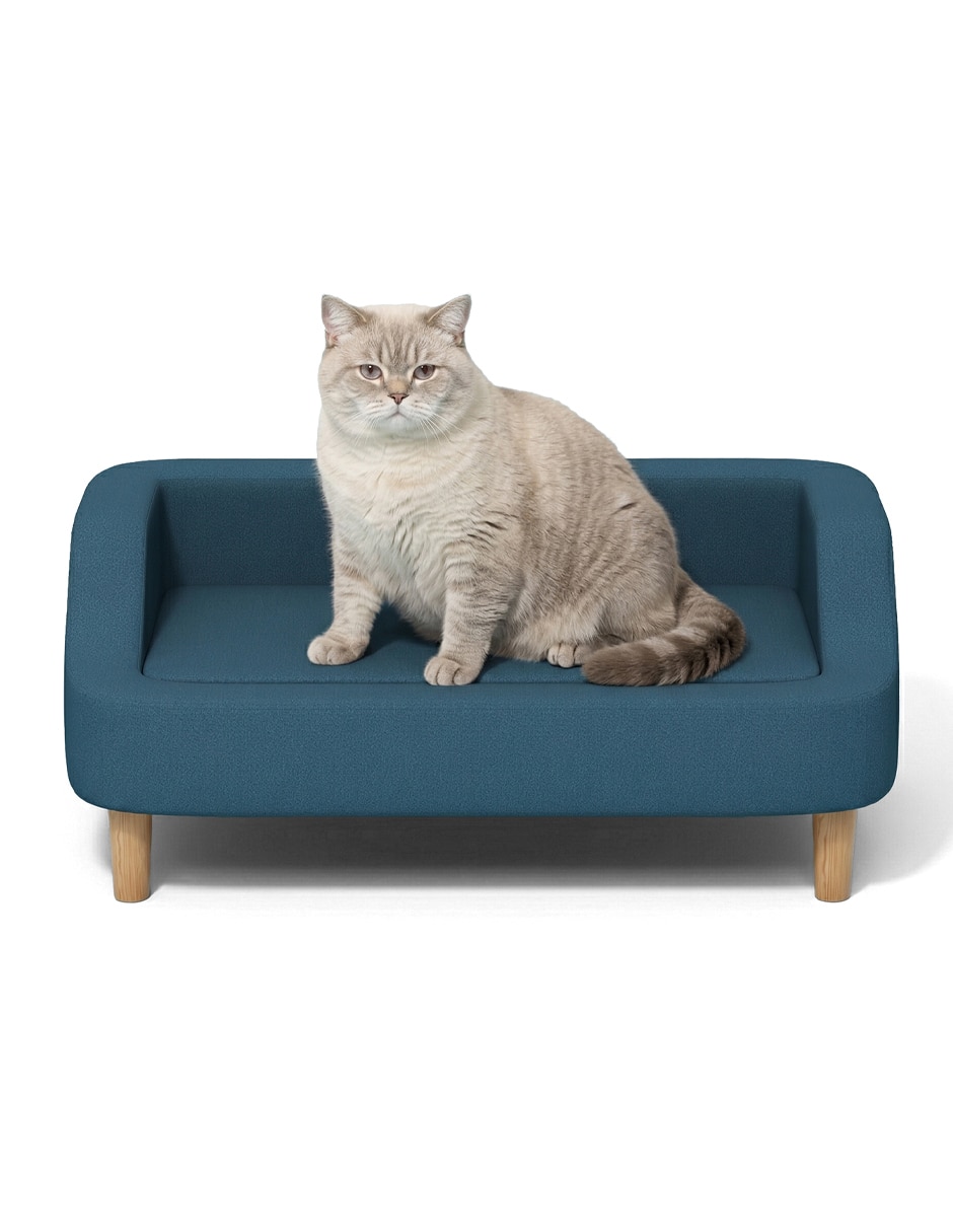 Camastro Home Make para mascota