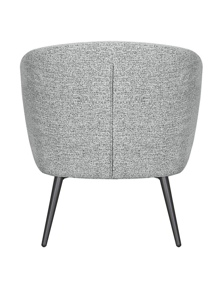 Perugia brum