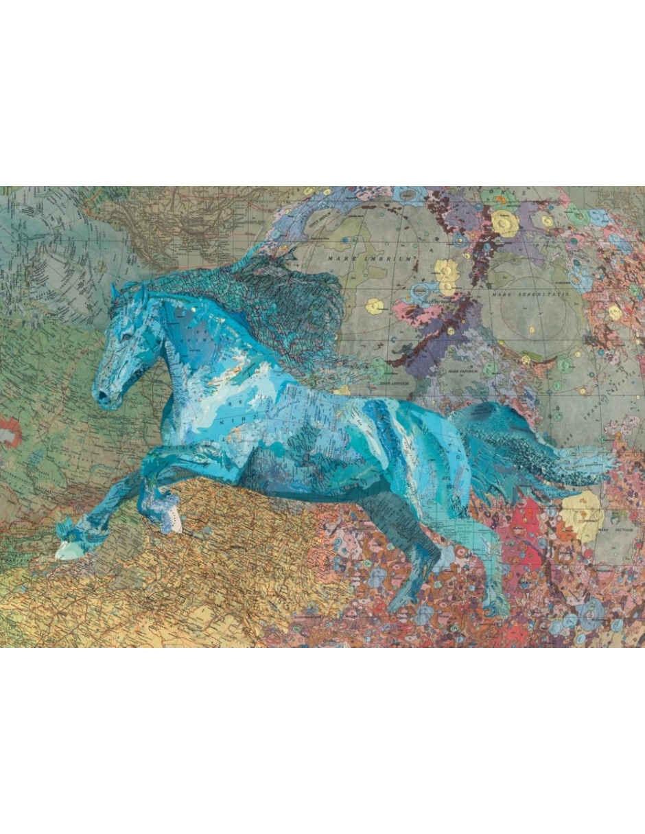 Rompecabezas artistas modernos Matthew Cusick: Mapa caballo Heye 2000 piezas