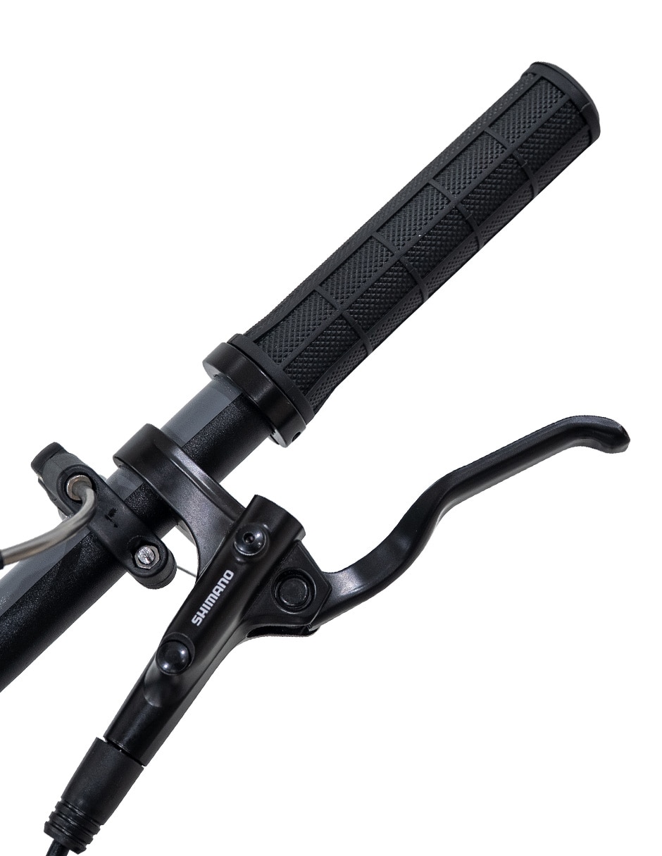 Bicicleta de montaña Belfort rodada 29 unisex