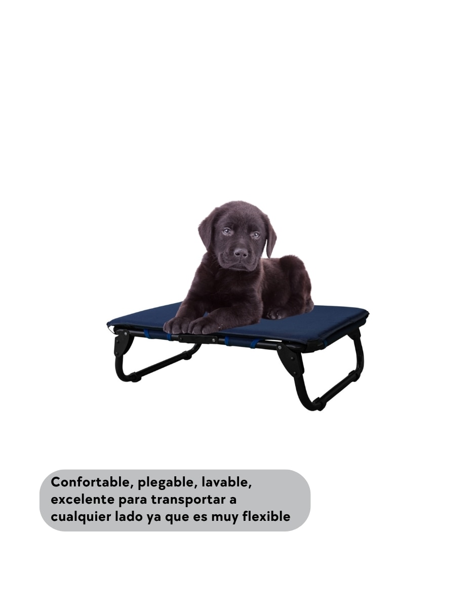 Tapete para perro y gato 3