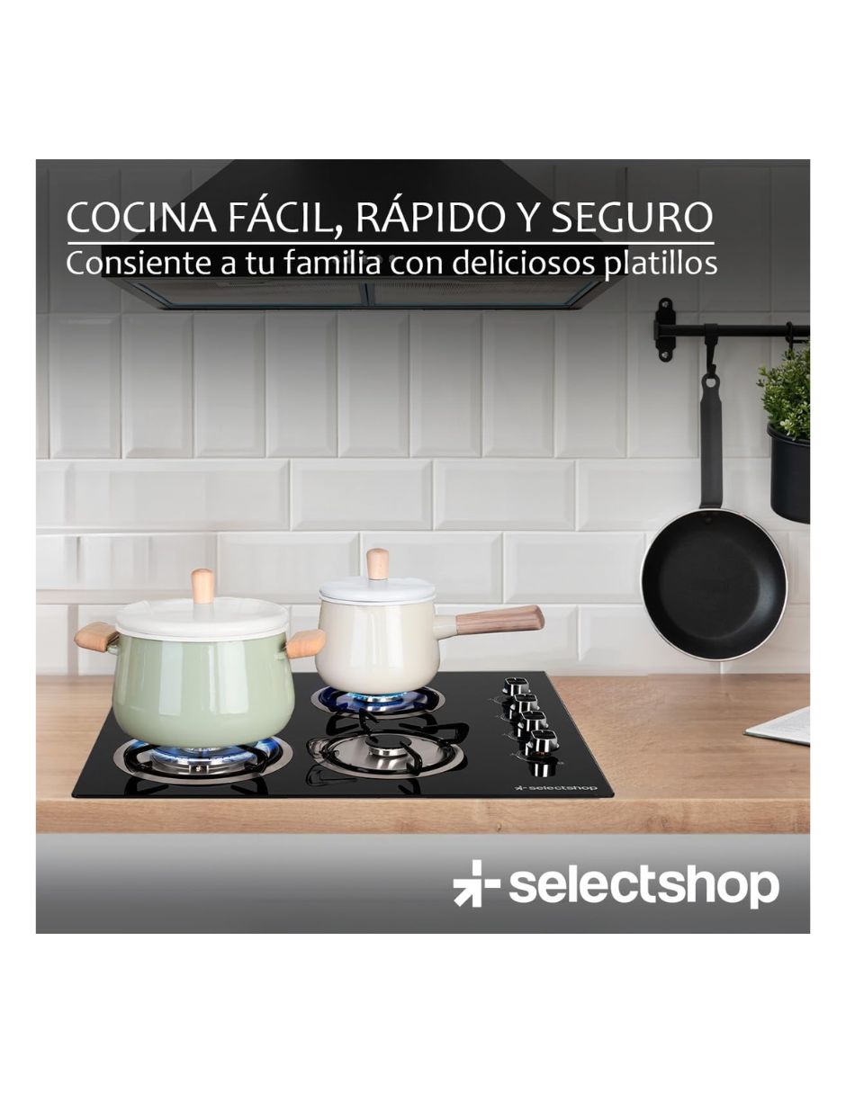 Parrilla electrica empotrable 5