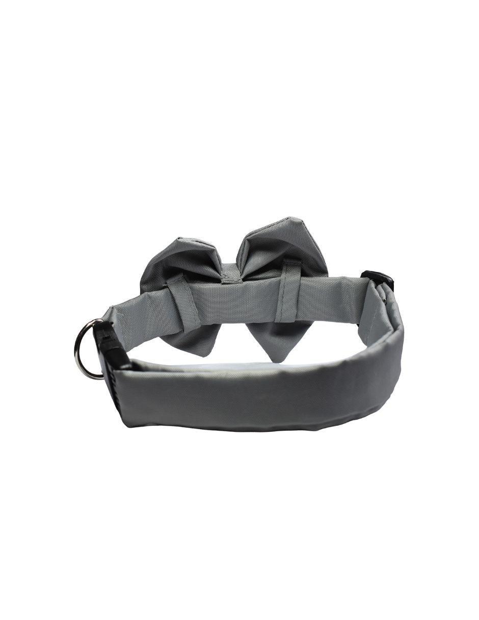 Para perro y gato infanti pets