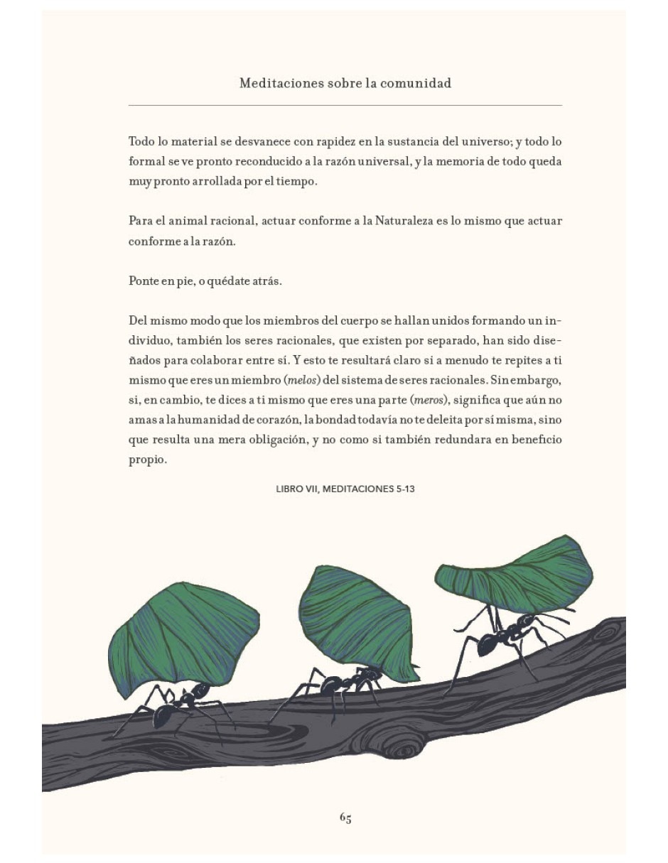Libro meditaciones ilustradas lecciones de vida de marco aurelio de marco aurelio / james romm