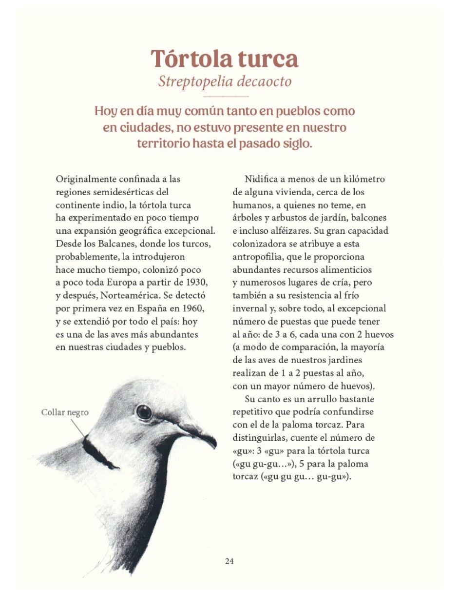 Libro aves de nuestros jardines ciudades y pueblos y su vida secreta de antoine isambert / sandra lefranðois