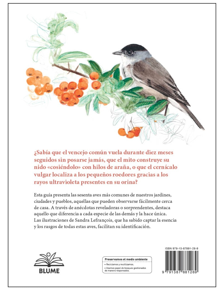 Libro aves de nuestros jardines ciudades y pueblos y su vida secreta de antoine isambert / sandra lefranðois