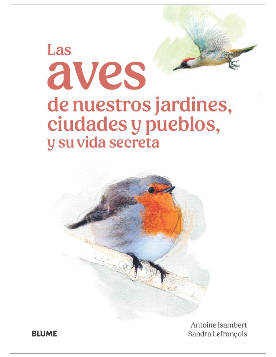 Libro aves de nuestros jardines ciudades y pueblos y su vida secreta de antoine isambert / sandra lefranðois Libro aves de nuestros jardines ciudades y pueblos y su vida secreta de antoine isambert / sandra lefranðois