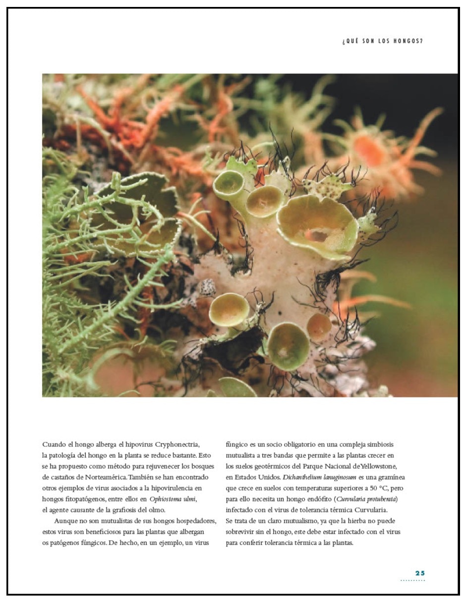 Libro vida de los hongos la historia natural de los arquitectos ocultos del equilibrio ecologico de britt a. Bunyard