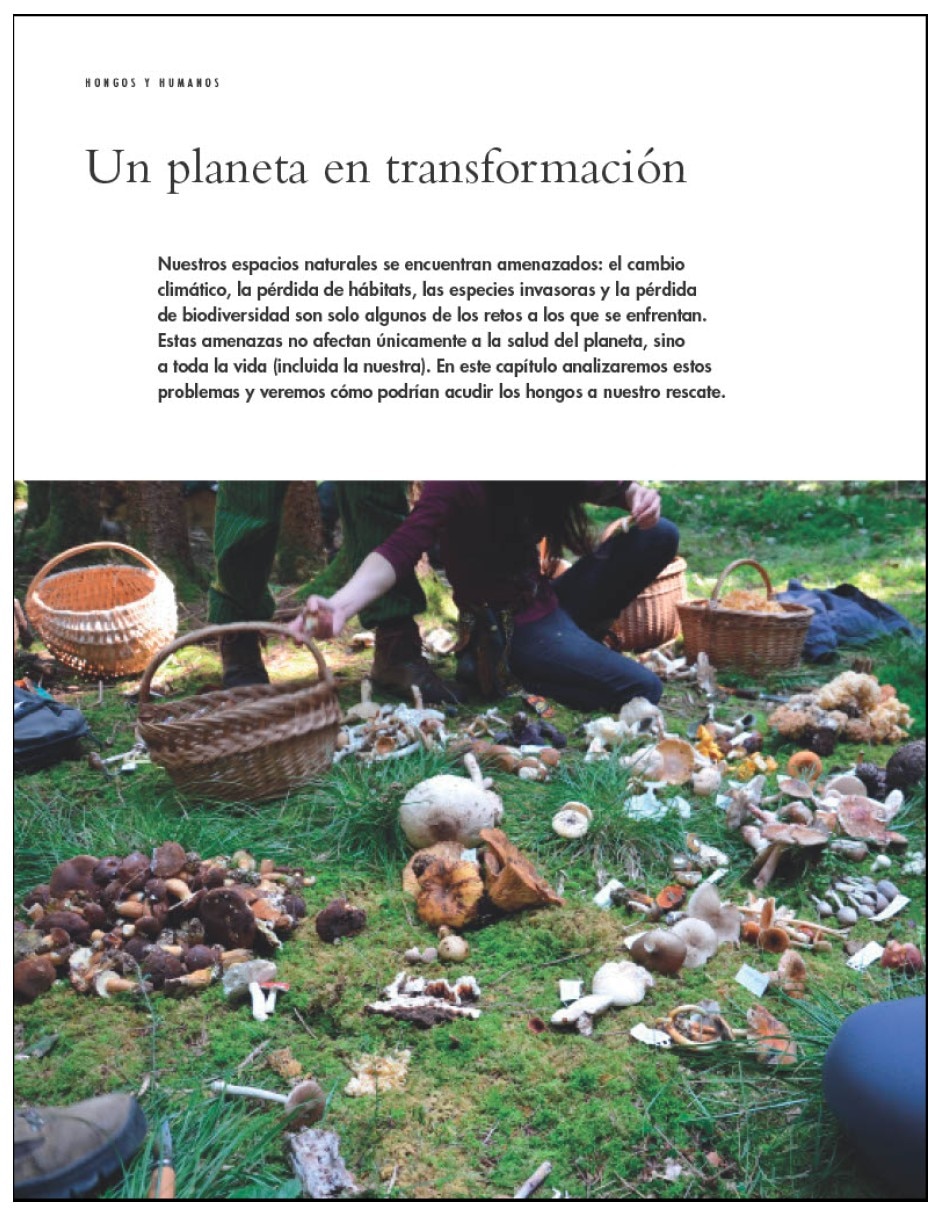 Libro vida de los hongos la historia natural de los arquitectos ocultos del equilibrio ecologico de britt a. Bunyard