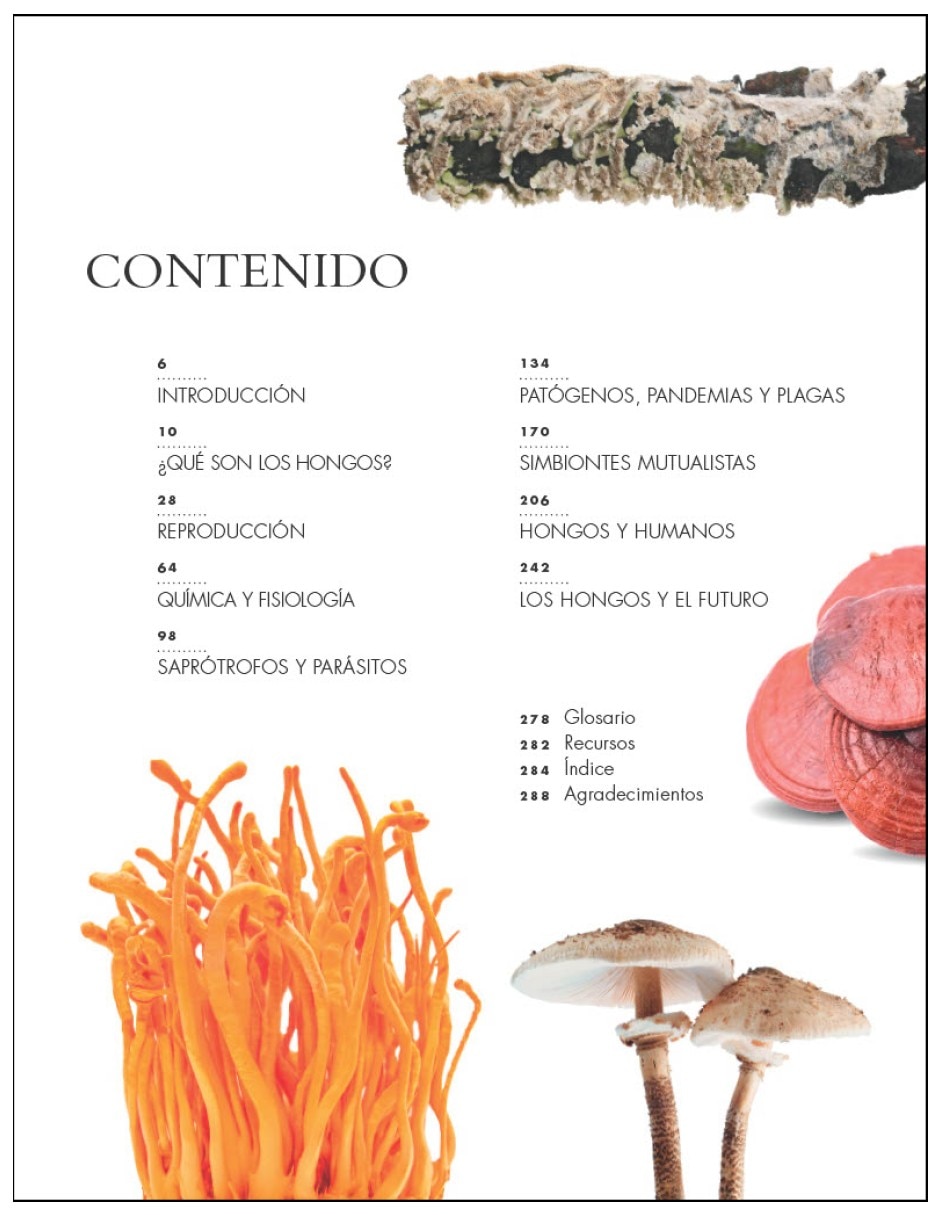 Libro vida de los hongos la historia natural de los arquitectos ocultos del equilibrio ecologico de britt a. Bunyard