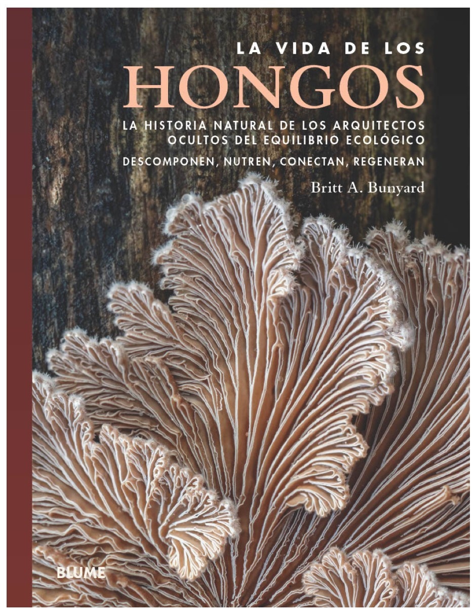 Libro vida de los hongos la historia natural de los arquitectos ocultos del equilibrio ecologico de britt a. Bunyard