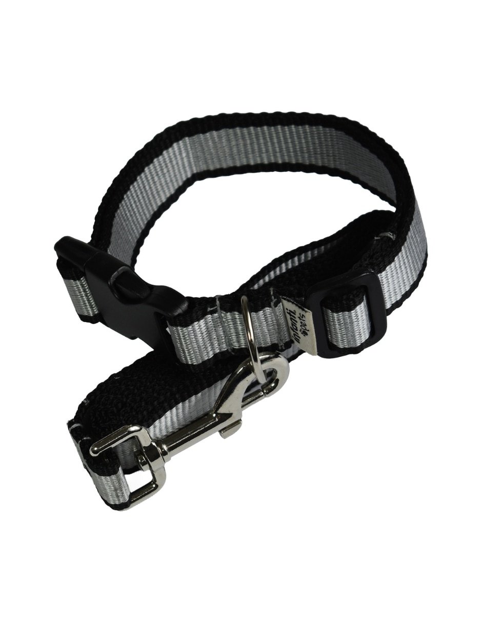 Correa y collar Infanti Pets para mascota