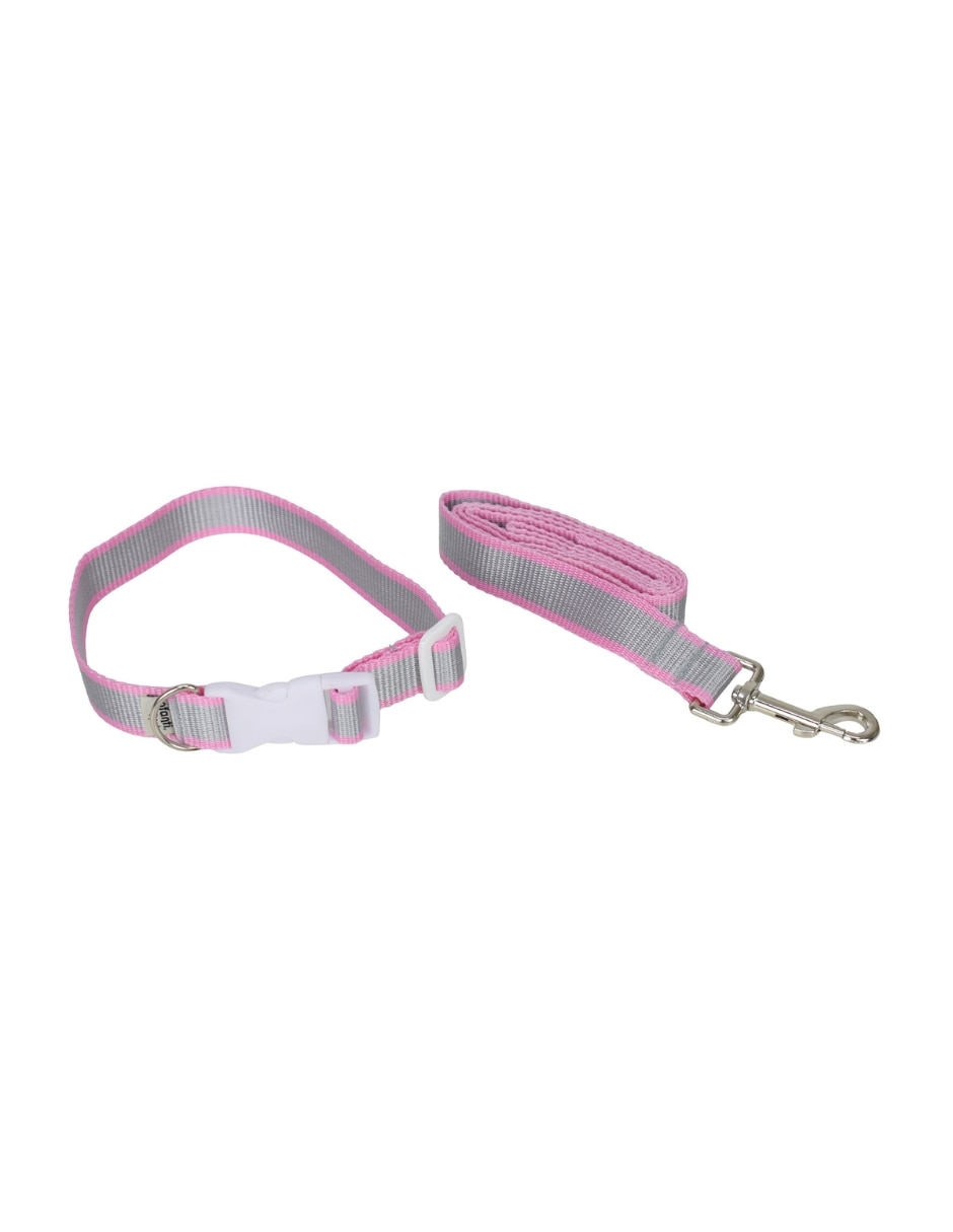 Correa y collar para mascota Correa y collar para mascota