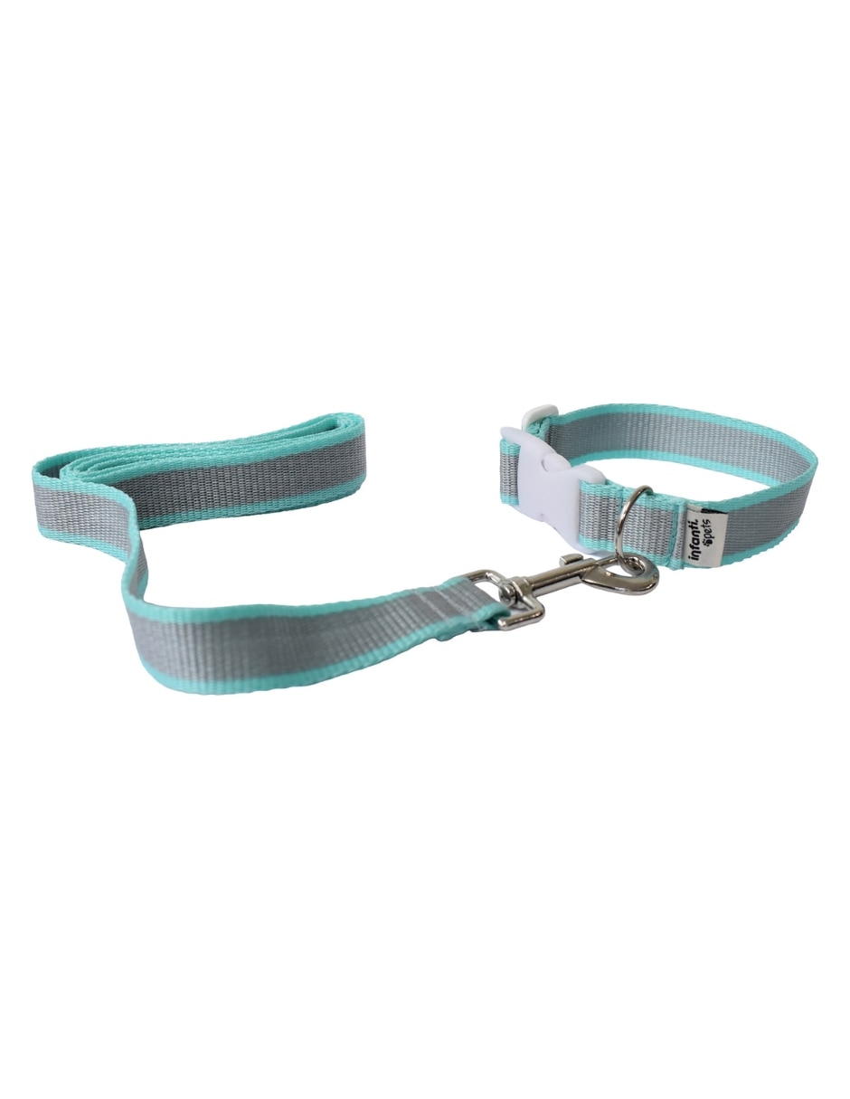 Correa y collar para perro y gato 4