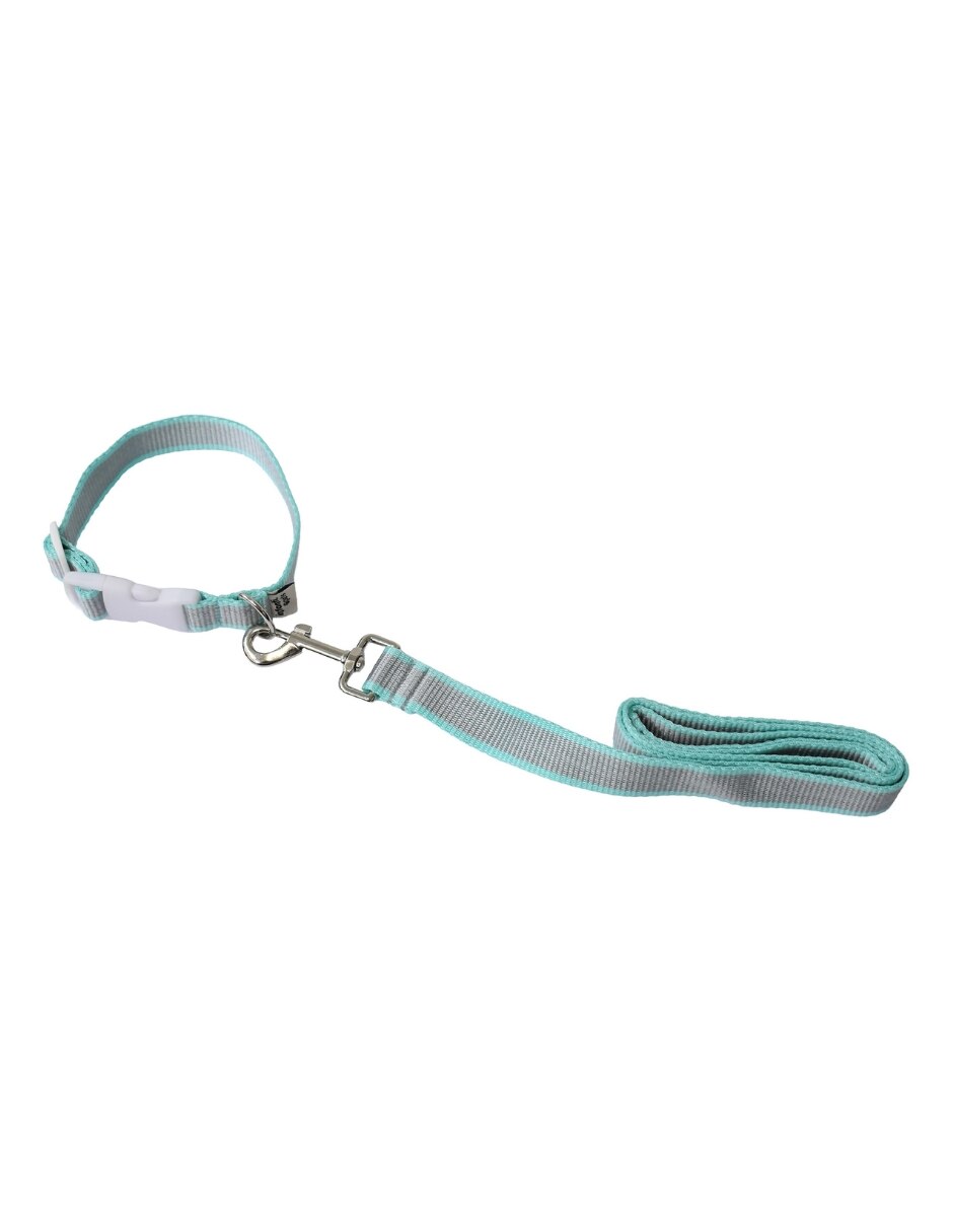Correa y collar para mascota 5