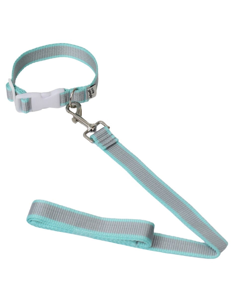Correa y collar para mascota 6