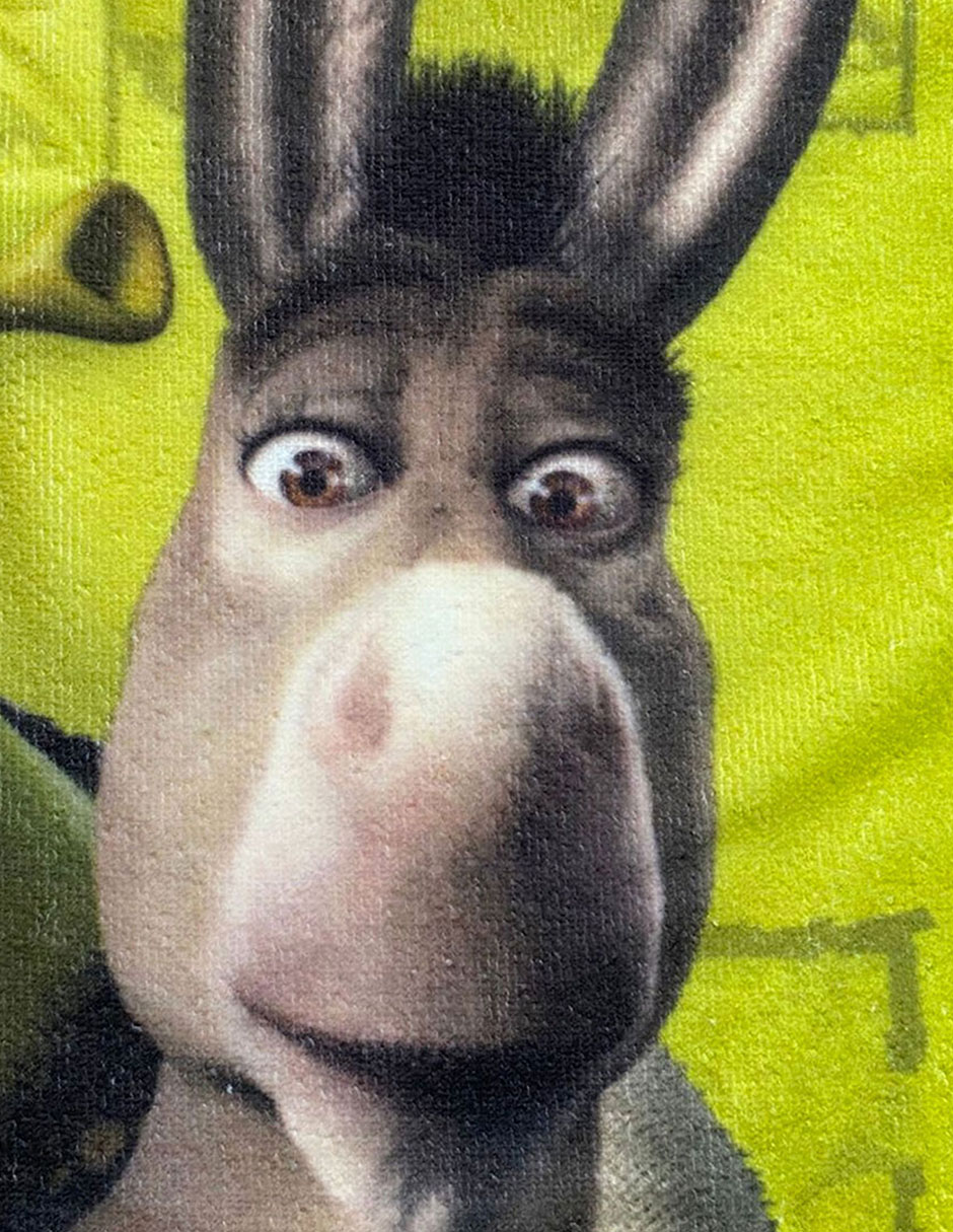 Toalla Shrek 2