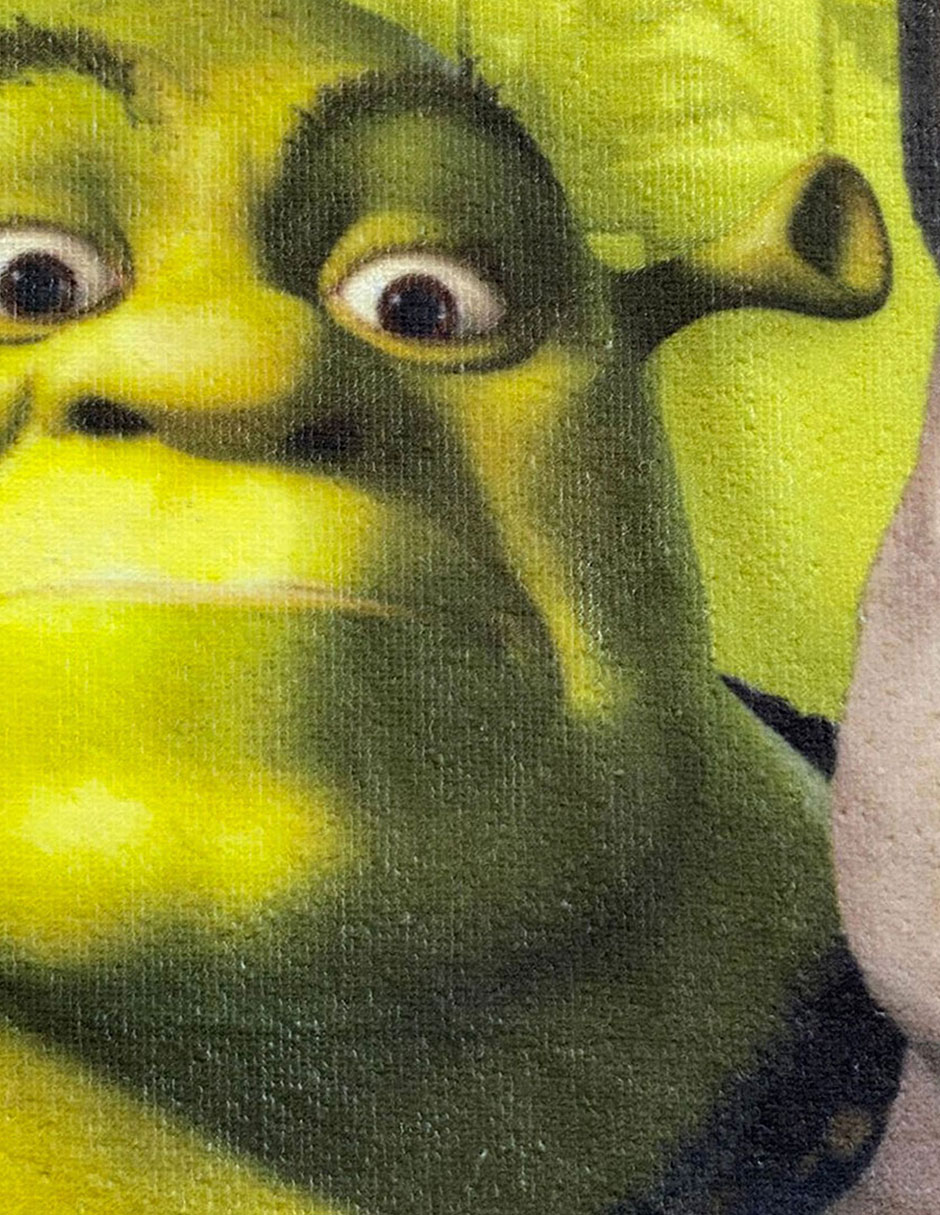 Toalla Shrek 6