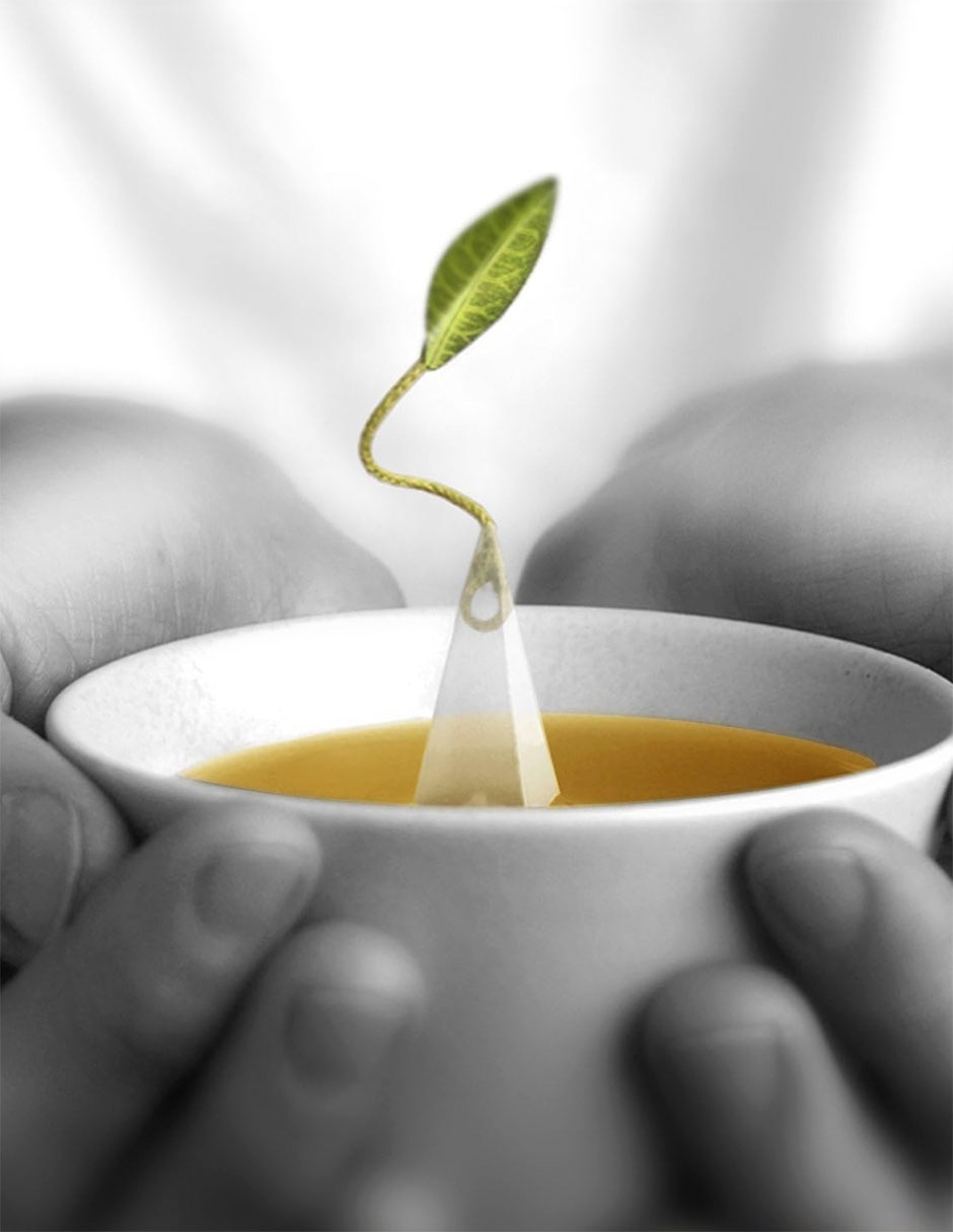 Té verde en polvo 28 g