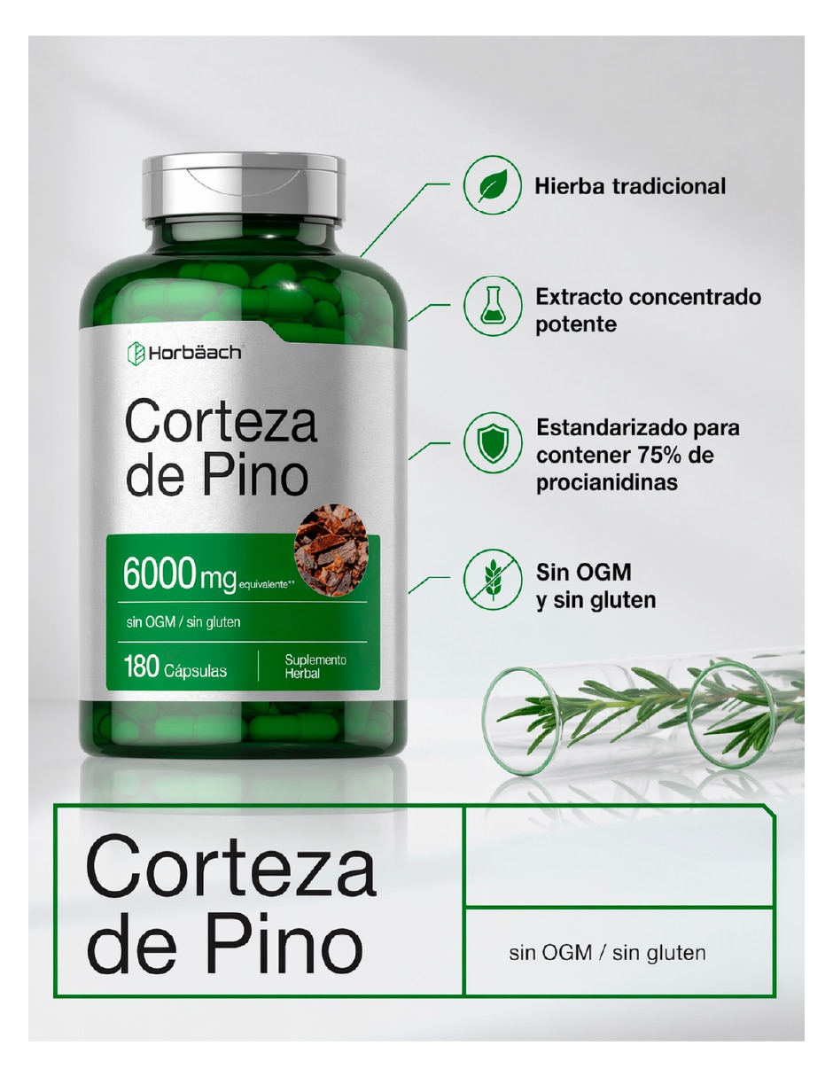 Corteza de pino 6000mg antioxidante natural americano Horbaach con extracto de corteza de pino de 180 caps