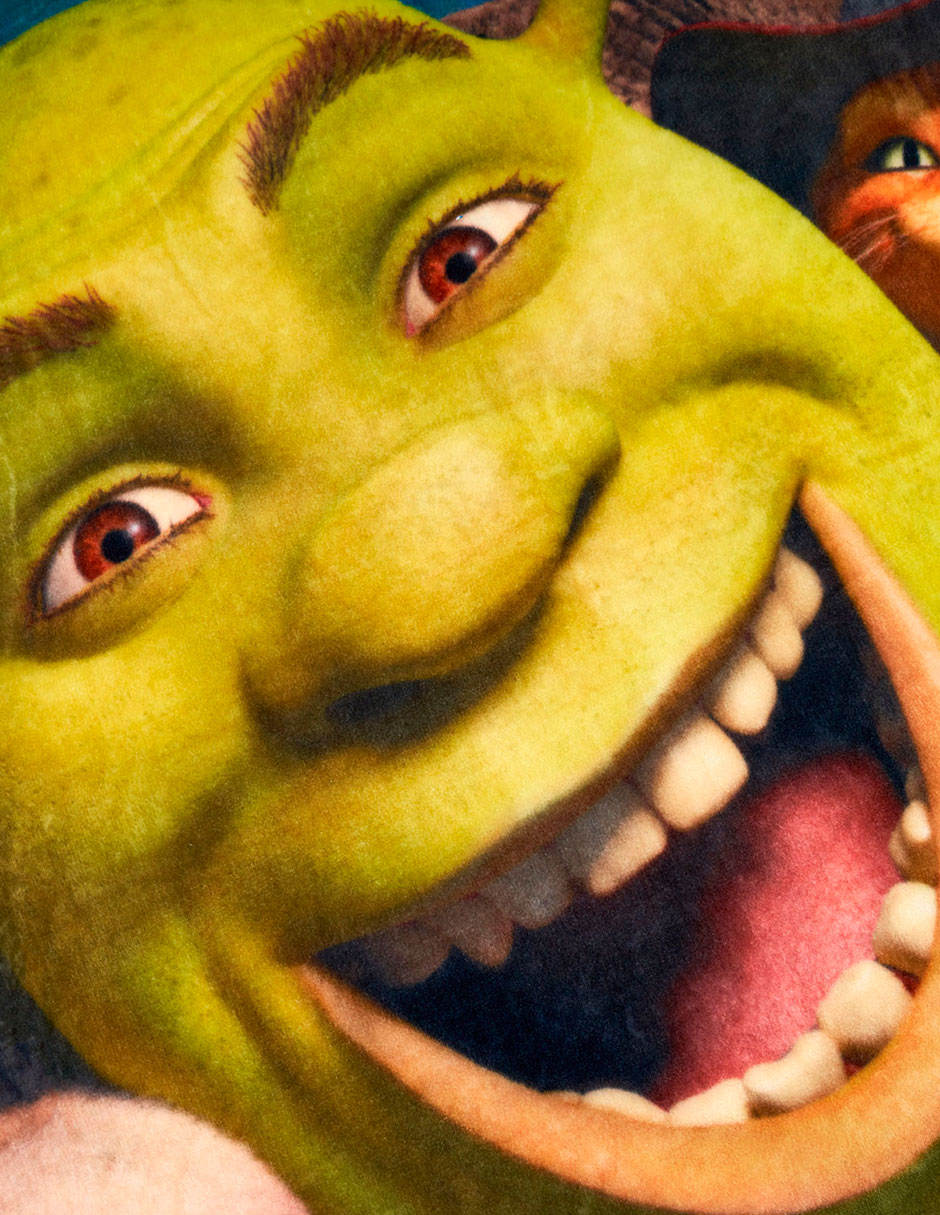 Cobertor Shrek Serenity 7