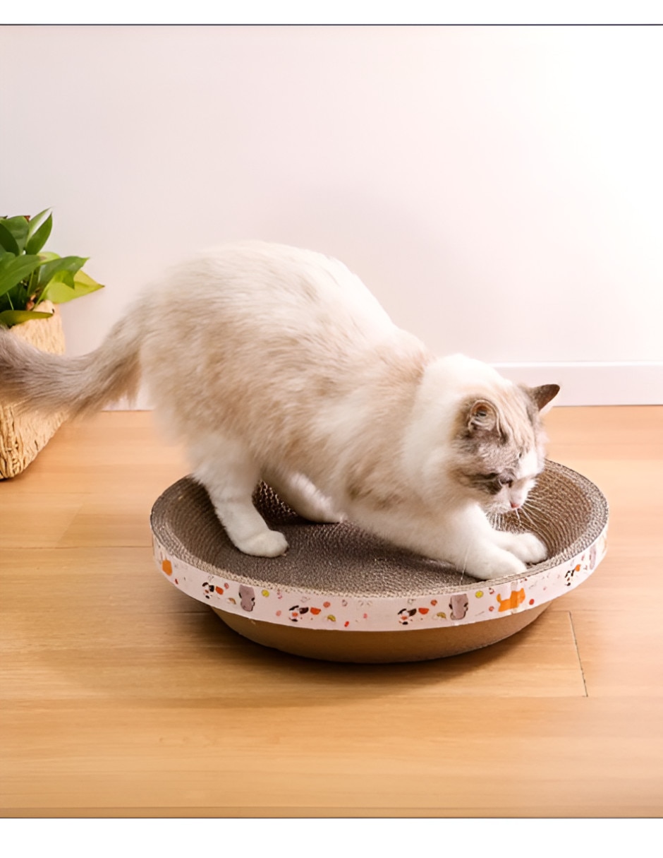 Rascador para Gato Xtellar
