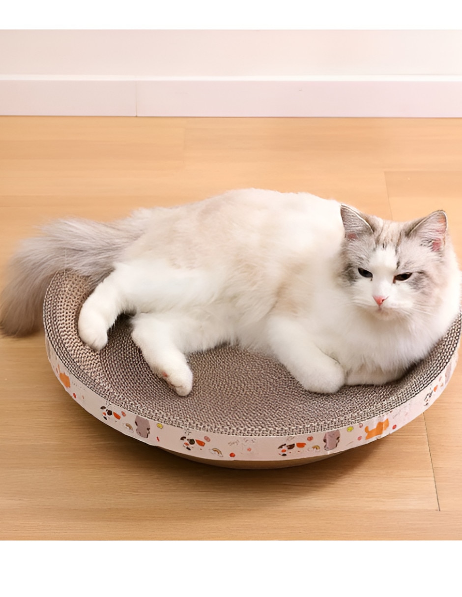 Rascador para Gato Xtellar