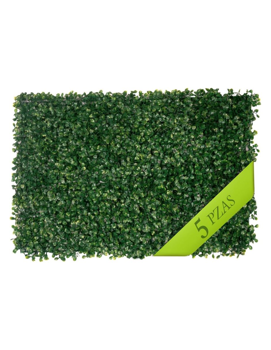 Muro verde ? con 5 piezas