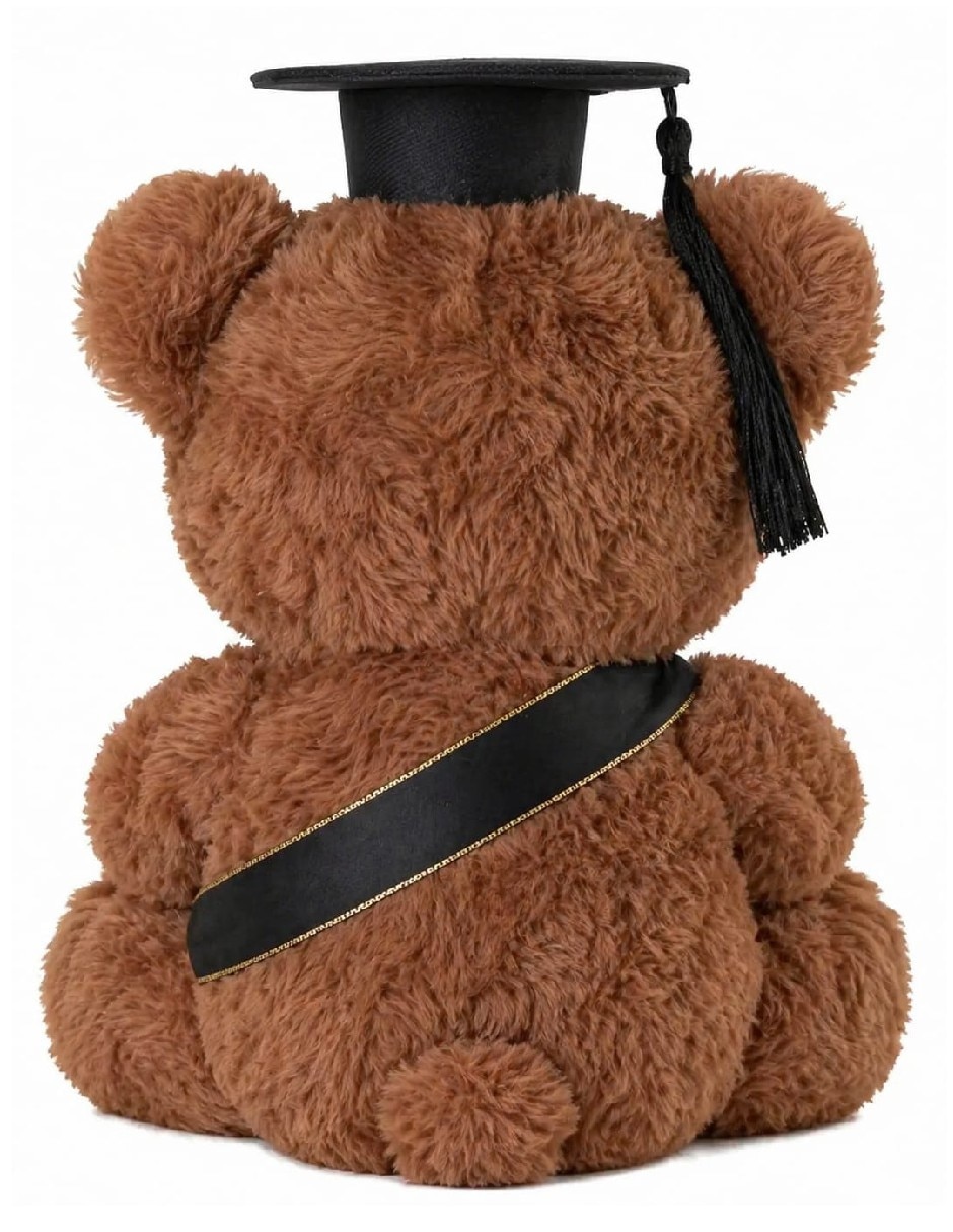Peluche de oso genérica peluches de graduación de