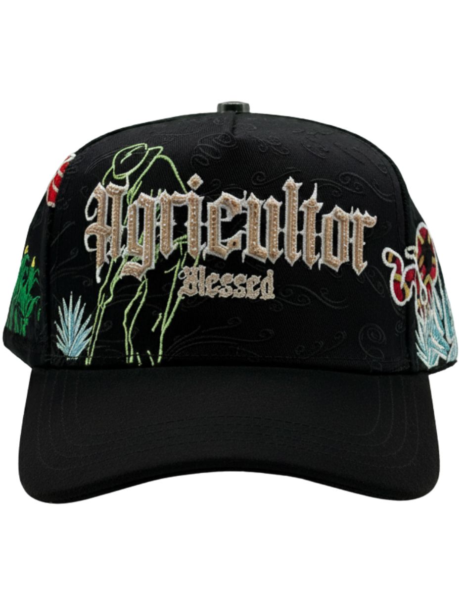Gorra con visera curva para Casual SIN FAMILIA O COLECCION No aplica No aplica para Unisex Gorra con visera curva para Casual SIN FAMILIA O COLECCION No aplica No aplica para Unisex