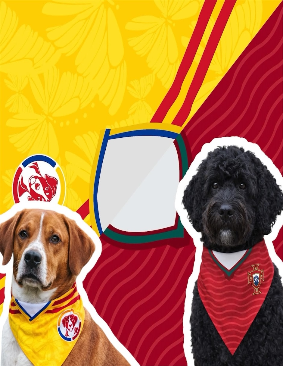 Pañuelo para perro y gato mi pañuelo col