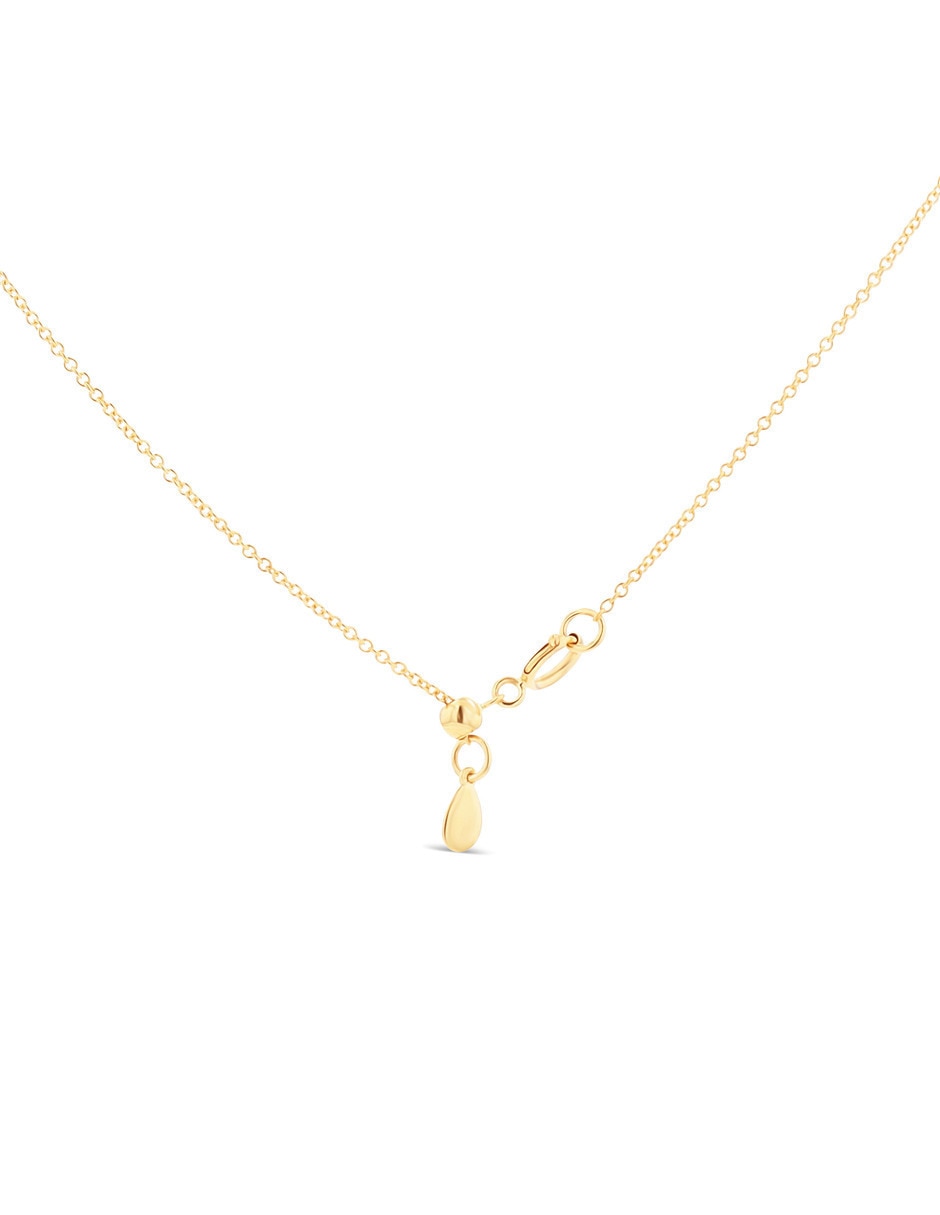 Collar con dije tortuga joyerias bizzarro de oro amarillo 14 k