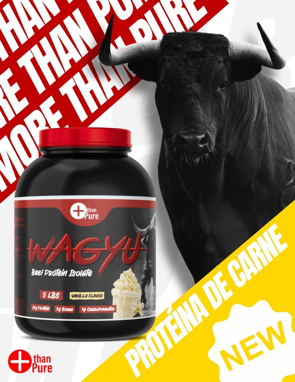 Colágeno wagyu con creatina more than pure con péptidos colágeno sabor chocolate