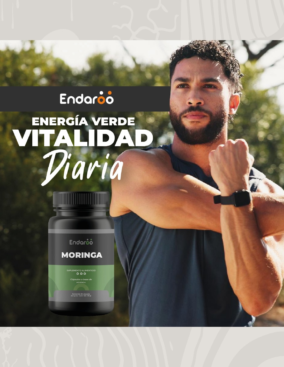 Moringa 240 cápsulas 500 mg 2