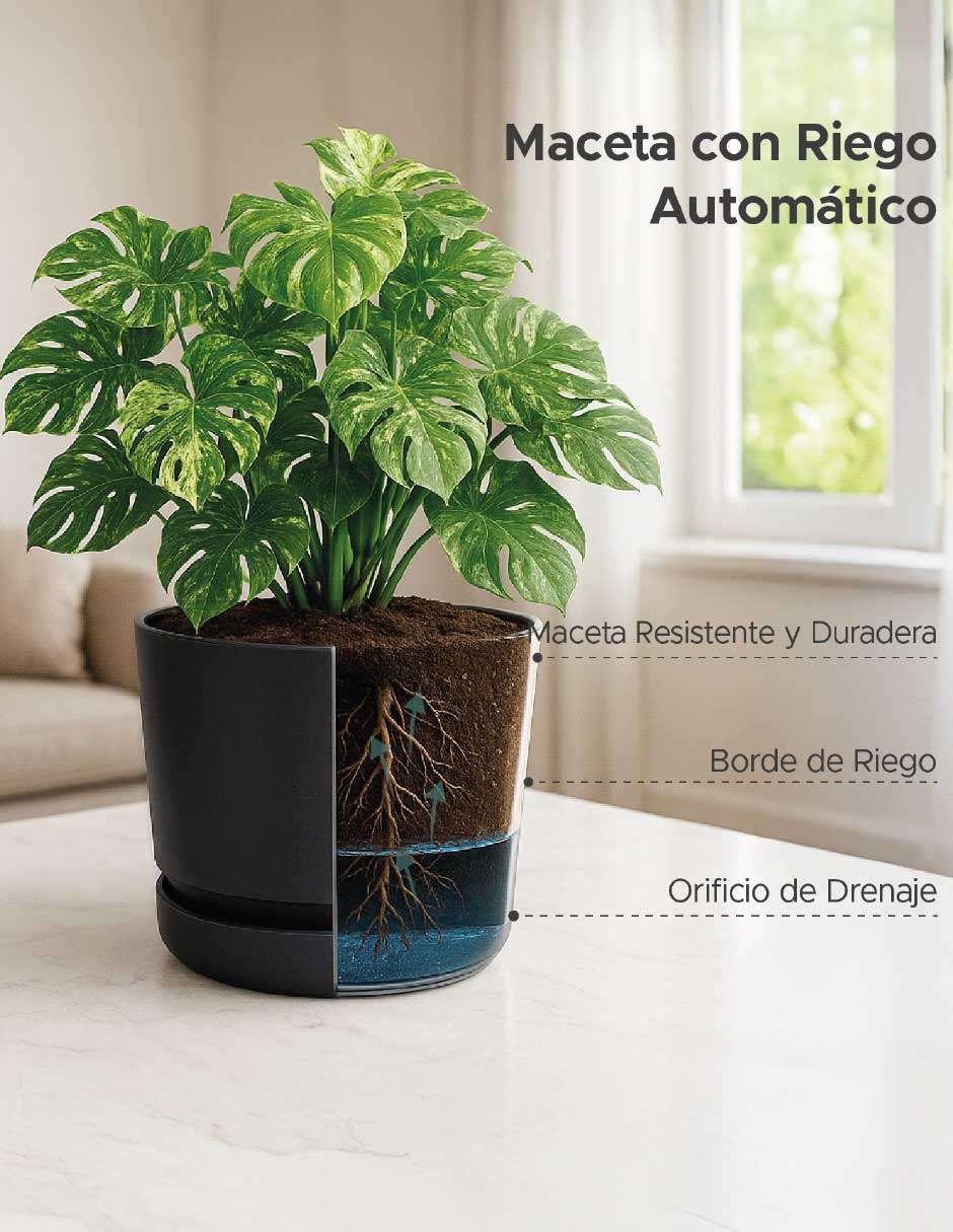 Set maceta Elly de plástico con auto riego