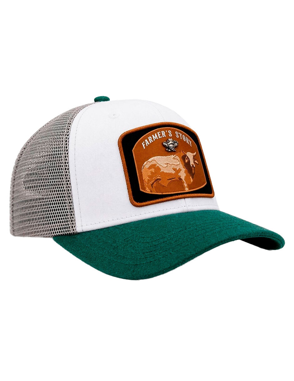 Gorra visera curva snapback para hombre