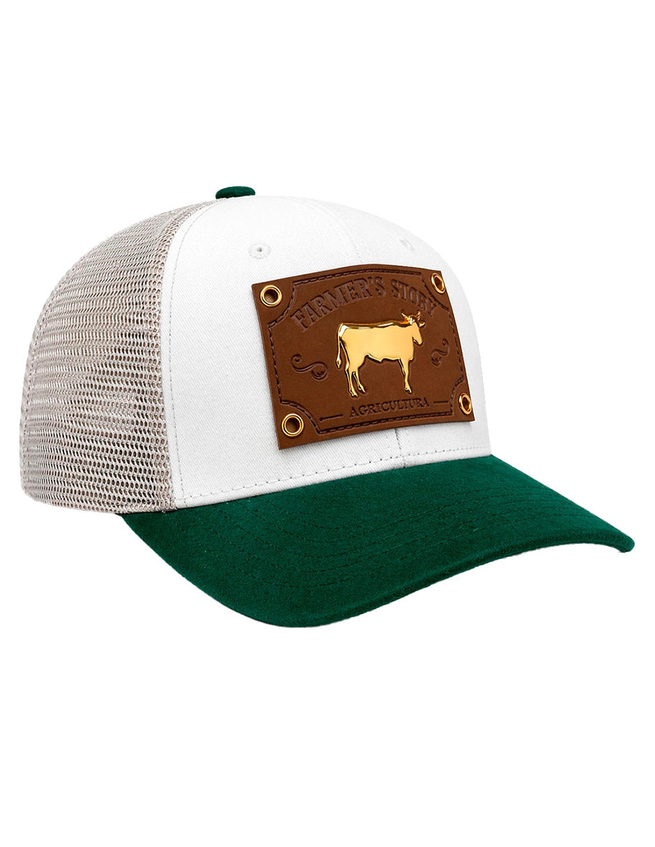 Gorra visera curva snapback para hombre Gorra visera curva snapback para hombre