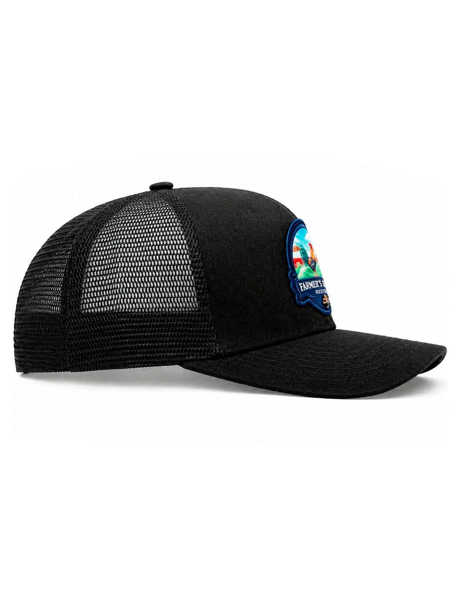 Gorra visera curva snapback para hombre 5