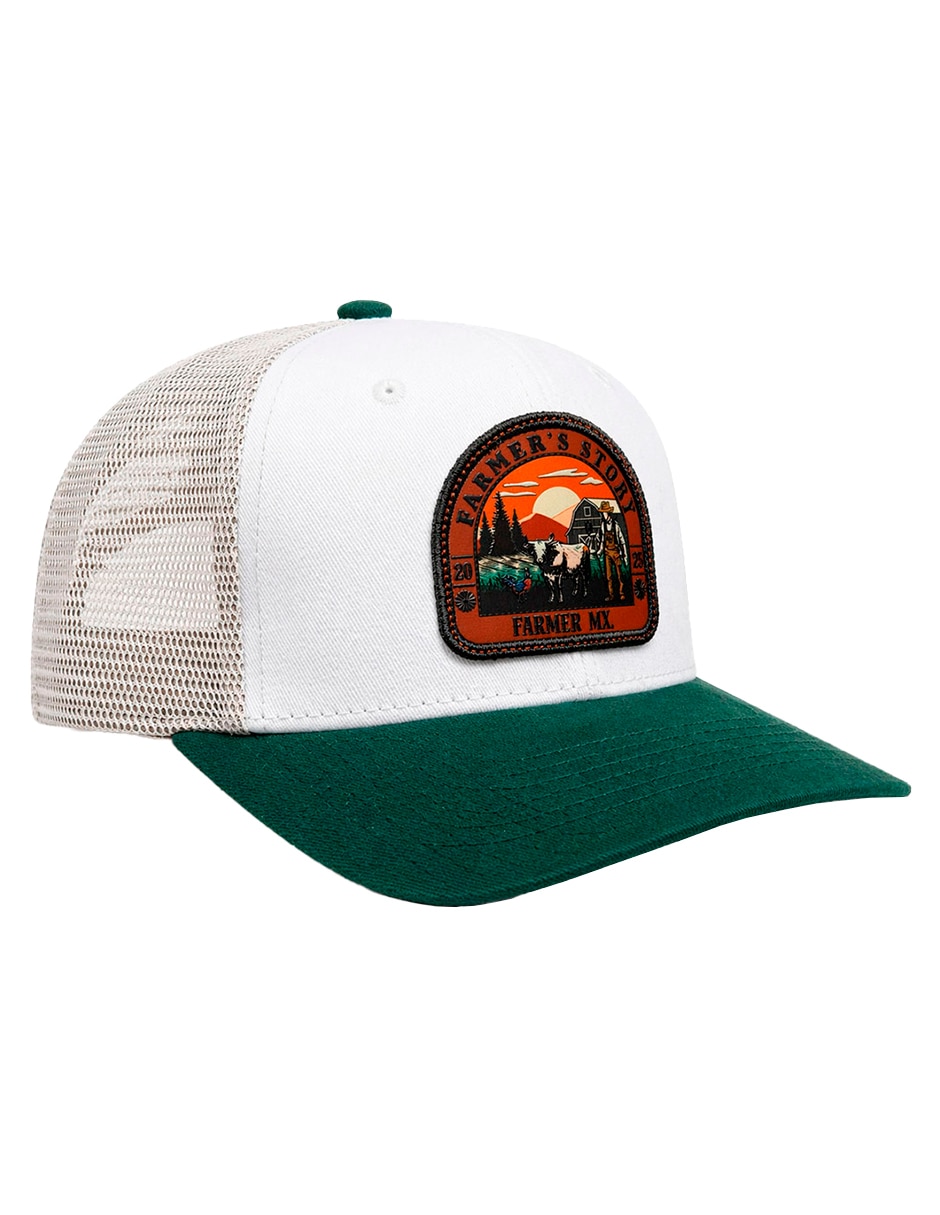 Gorra visera curva snapback para hombre Gorra visera curva snapback para hombre