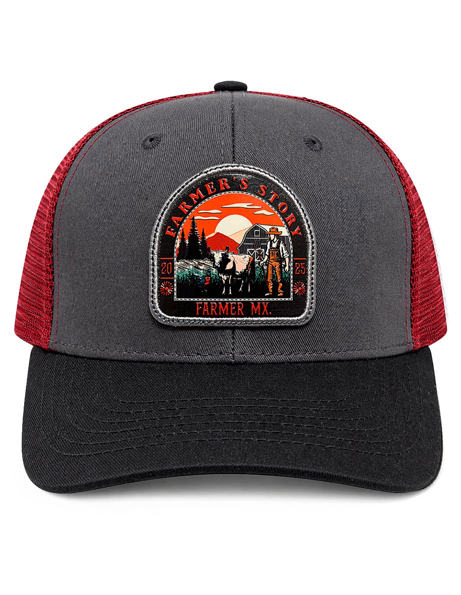 Gorra visera curva snapback para hombre 4